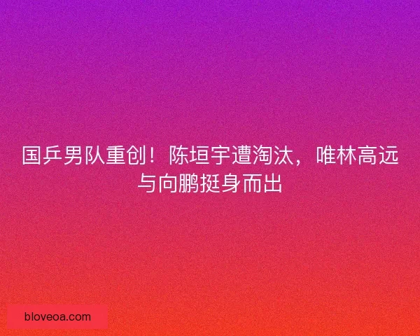 国乒男队重创！陈垣宇遭淘汰，唯林高远与向鹏挺身而出