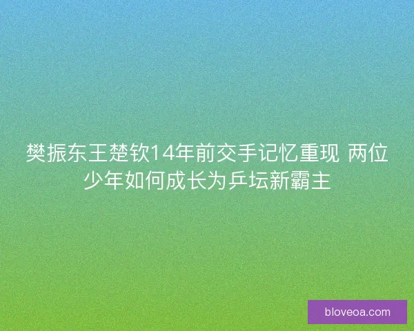 樊振东王楚钦14年前交手记忆重现 两位少年如何成长为乒坛新霸主